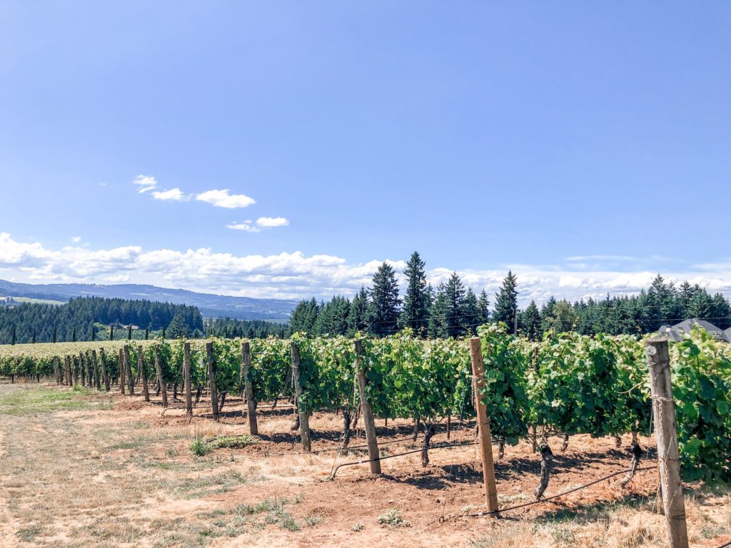May is Oregon Wine Month