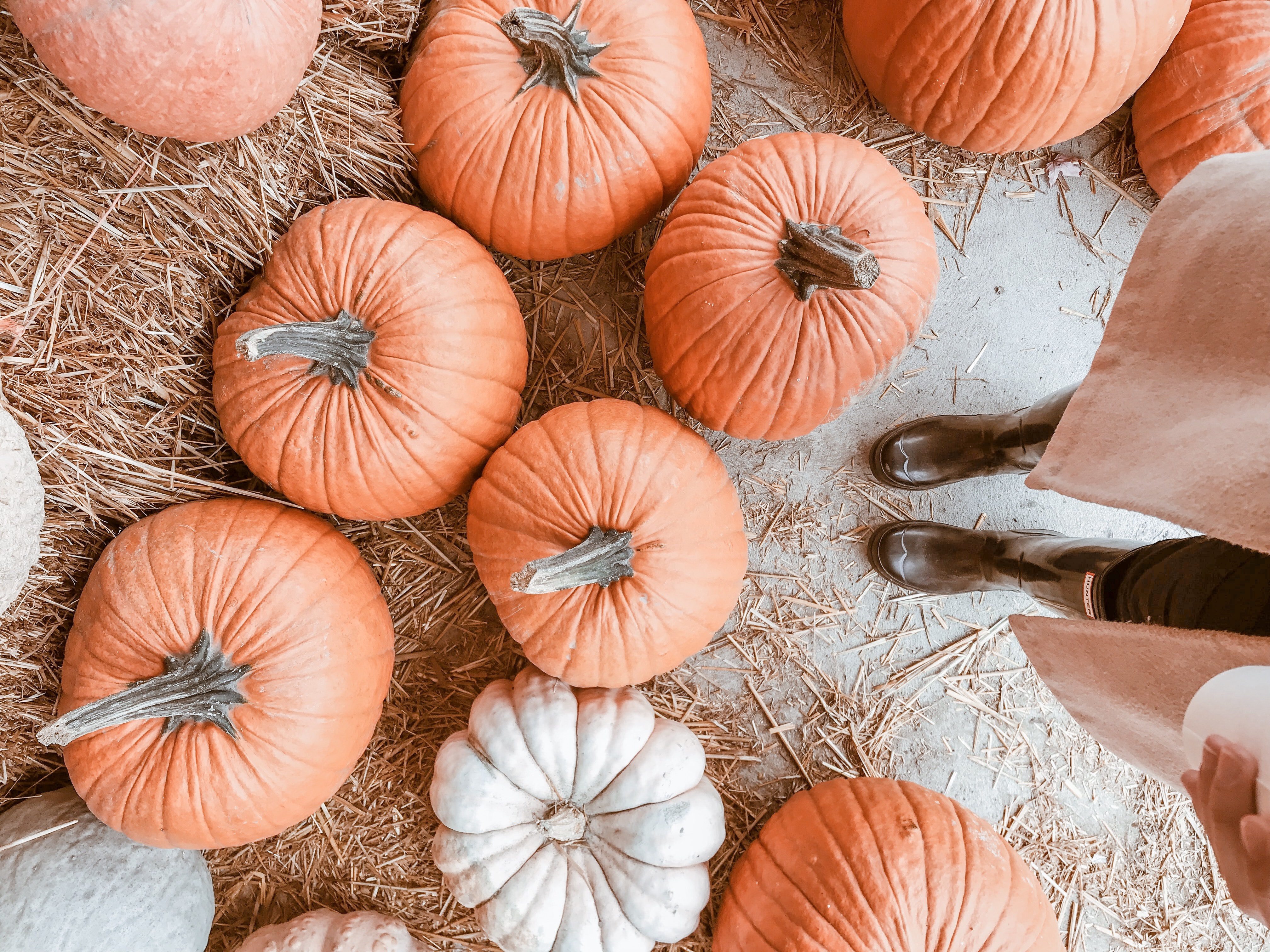 20 Best Pumpkin Patches to Celebrate Fall in Oregon