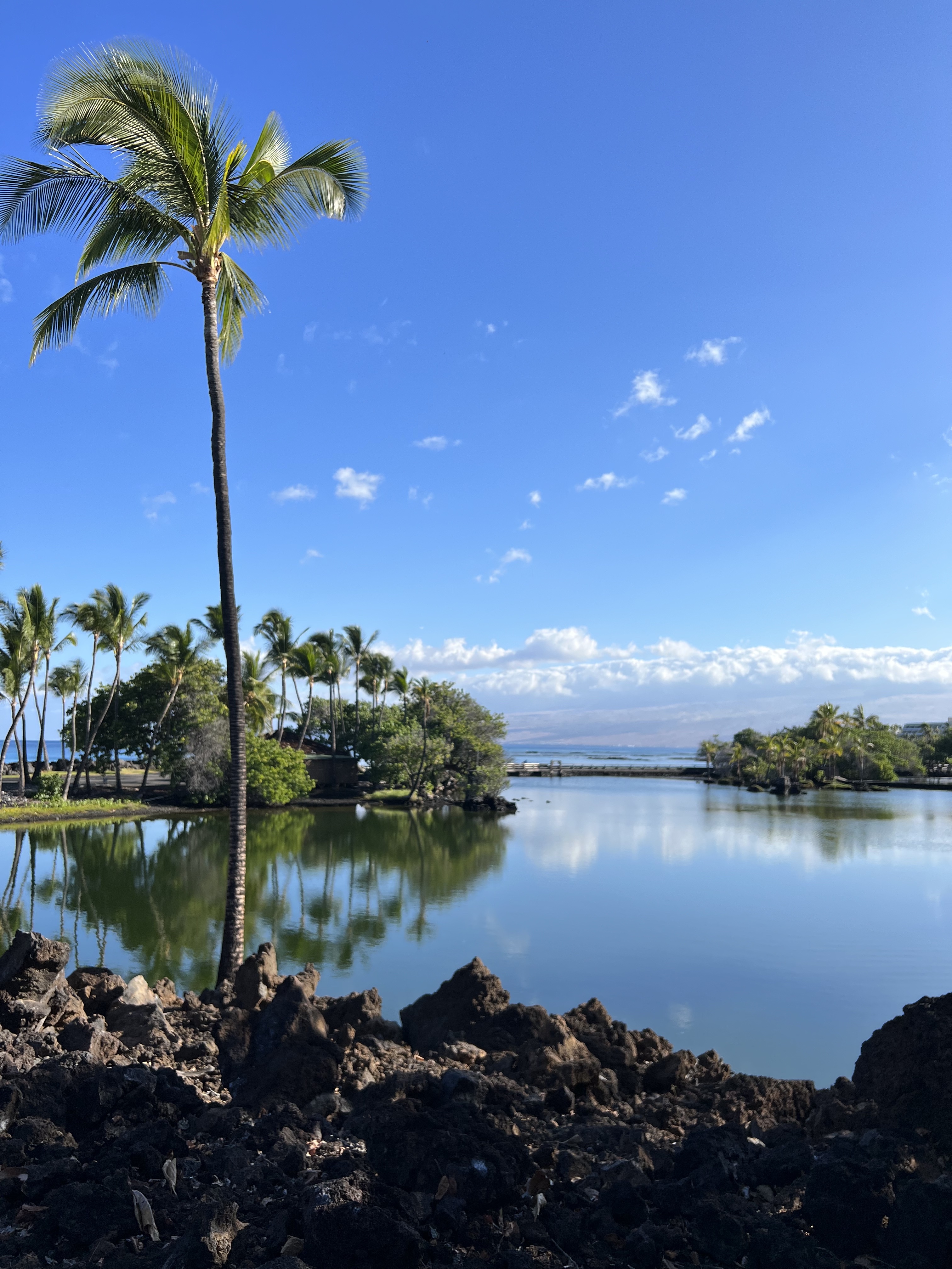 Big Island of Hawaii Hotels and Things to Do