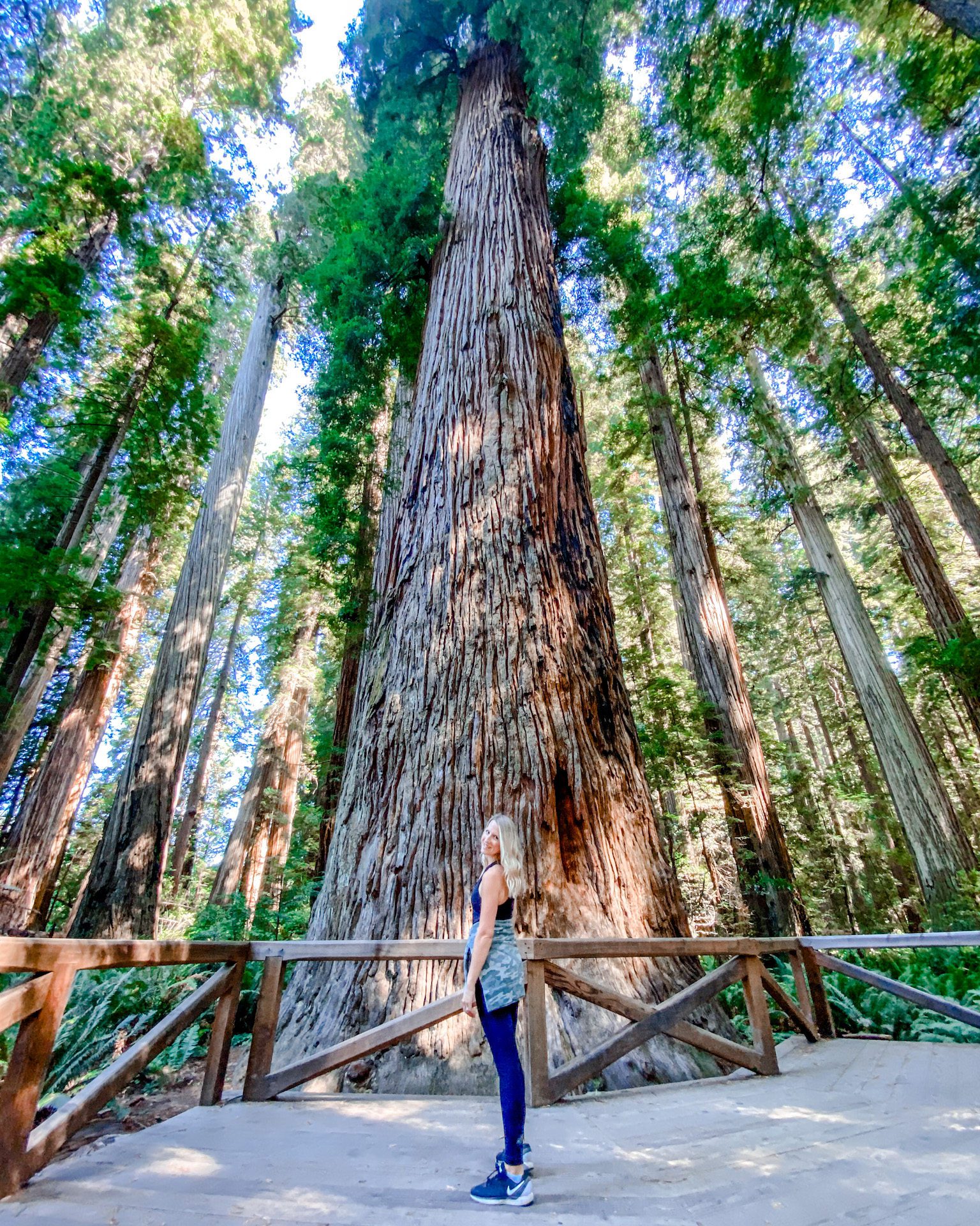 Exploring Redwood National Park