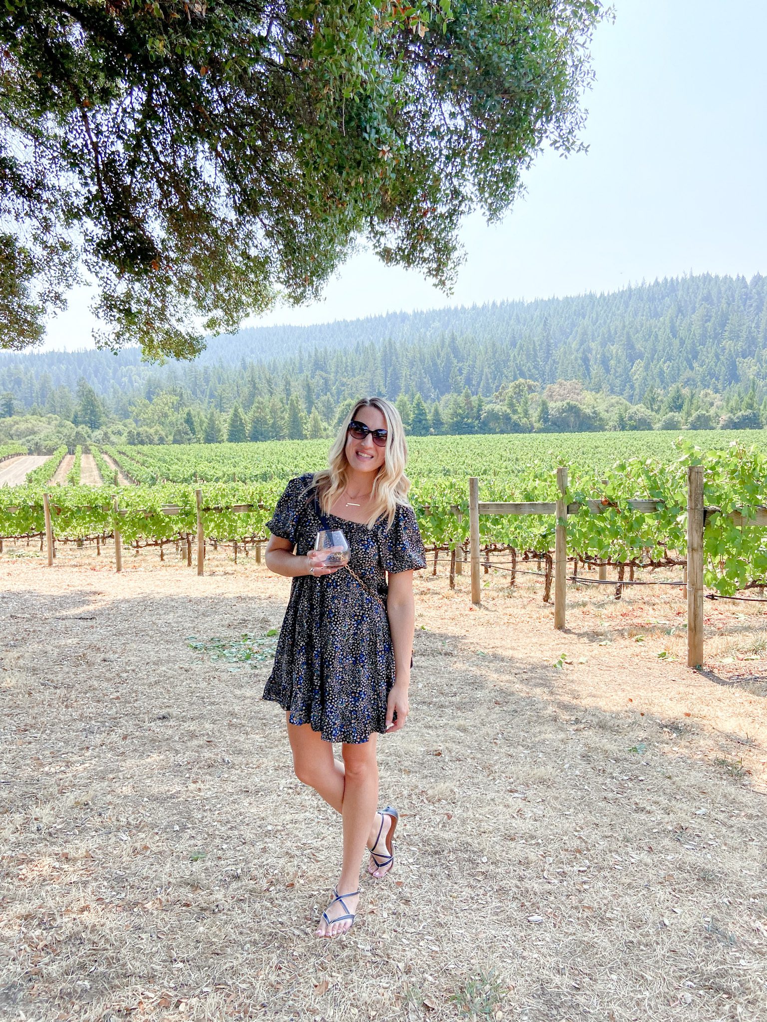 Visit Anderson Valley Wine Country