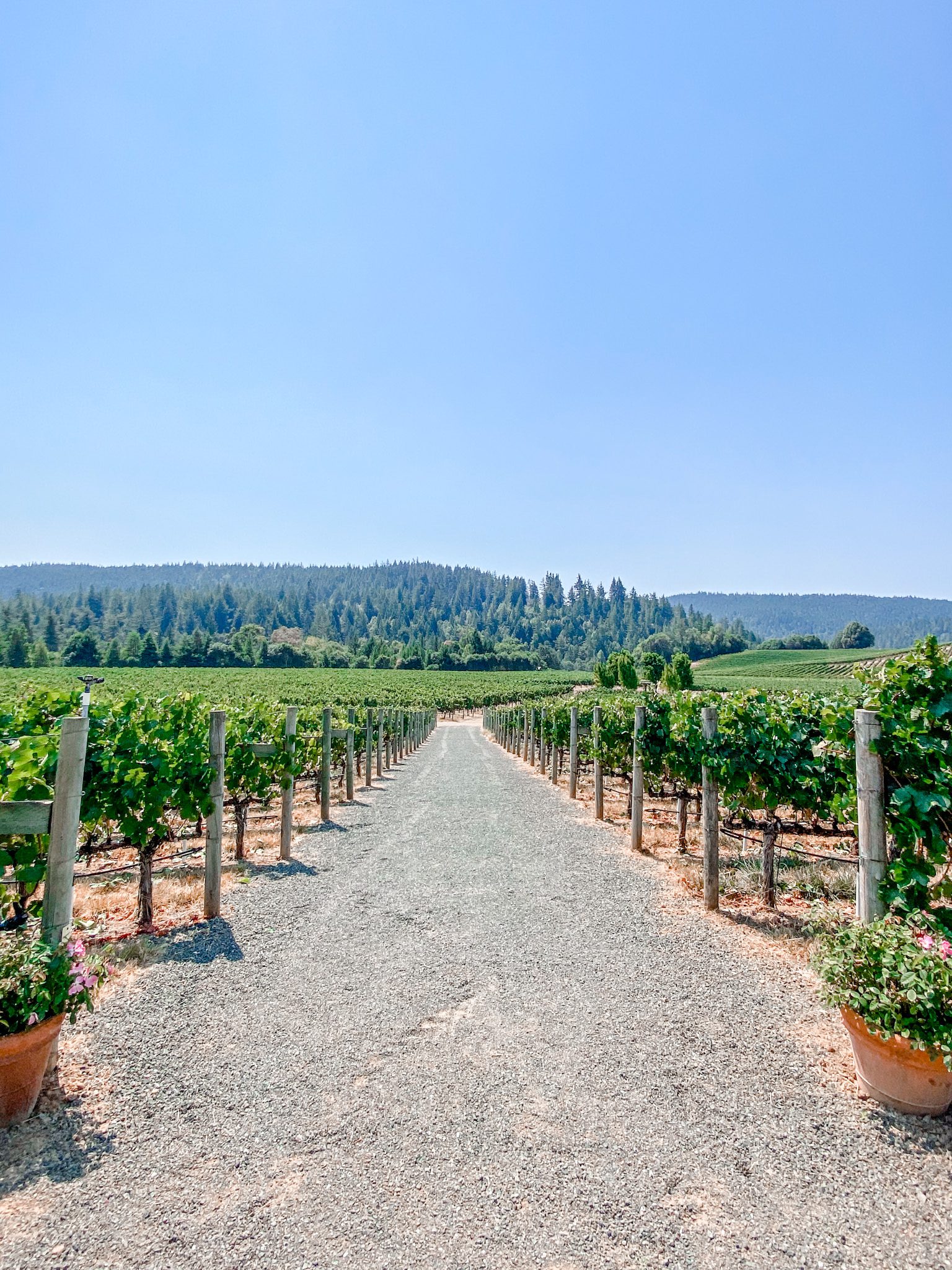 Visit Anderson Valley Wine Country
